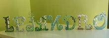 Cargar imagen en el visor de la galería, Letras Personalizadas Scrap (Modelo Alexandra)